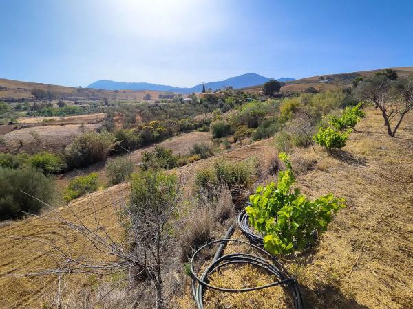 Terreno en camino Cementerio
