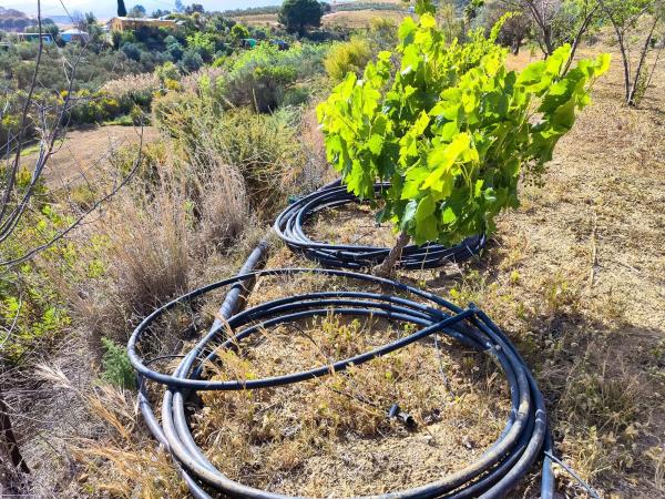 Terreno en camino Cementerio