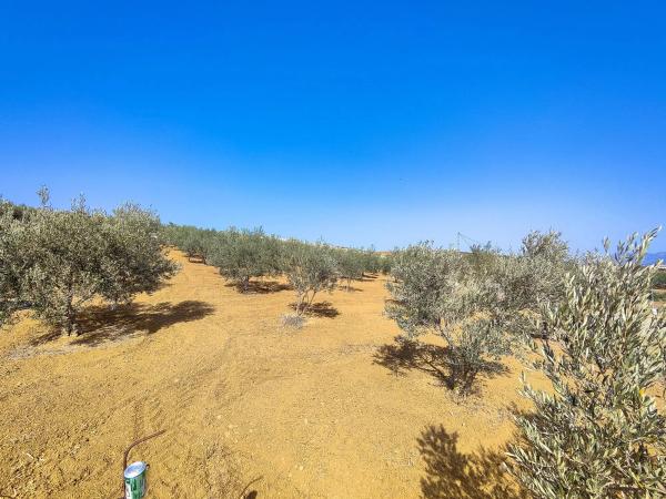 Terreno en camino Cementerio