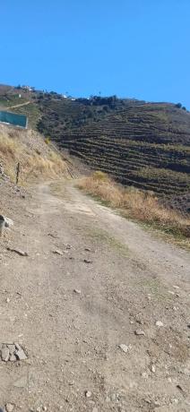 Terreno en diseminado pago manzano bajo, km 253