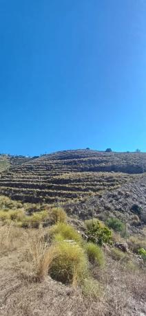 Terreno en diseminado pago manzano bajo, km 253