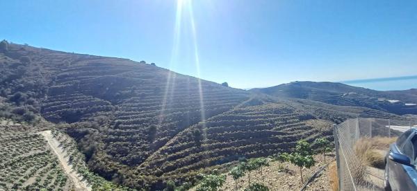 Terreno en diseminado pago manzano bajo, km 253
