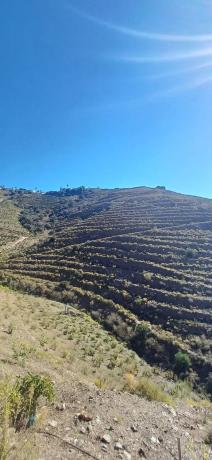 Terreno en diseminado pago manzano bajo, km 253