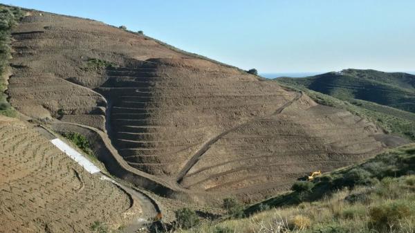 Terreno en diseminado pago manzano bajo, km 253