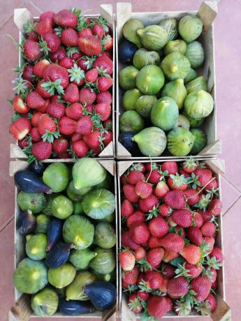 Terreno en Diseminado Pago Coscoja, 3066