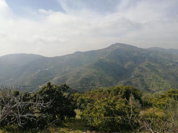 Terreno en Diseminado Pago Coscoja, 3066