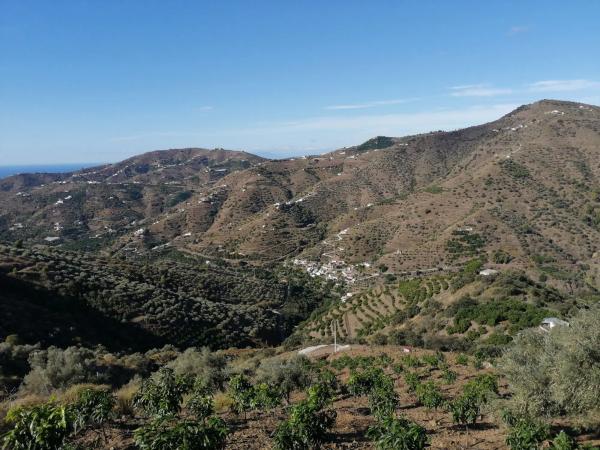 Terreno en Diseminado Pago Coscoja, 3066