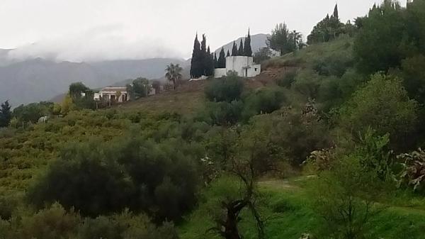 Terreno en Diseminado Pago Coscoja, 3066