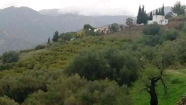 Terreno en Diseminado Pago Coscoja, 3066