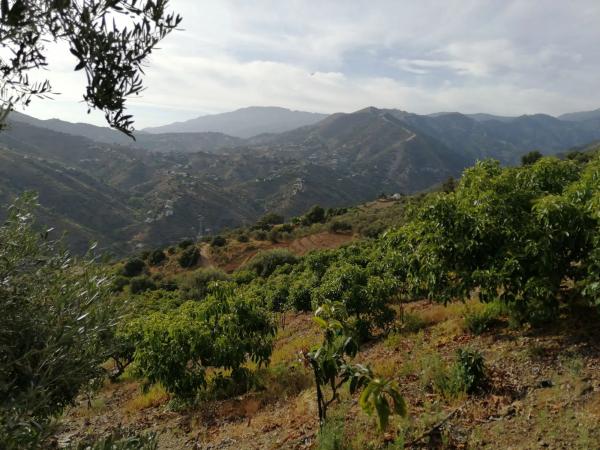 Terreno en Diseminado Pago Coscoja, 3066