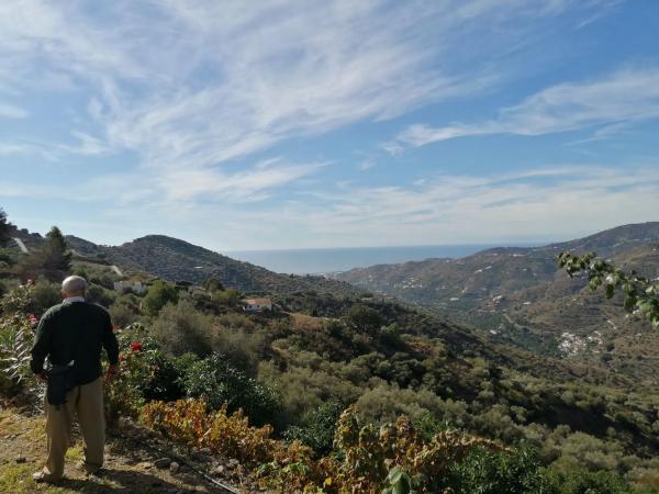 Terreno en Diseminado Pago Coscoja, 3066