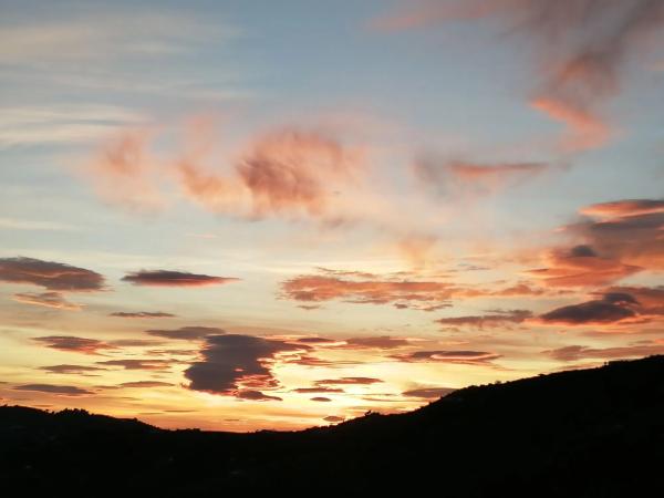 Terreno en Diseminado Pago Coscoja, 3066