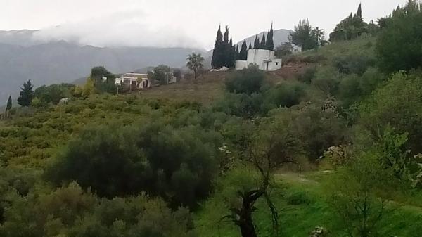 Terreno en Diseminado Pago Coscoja, 3066