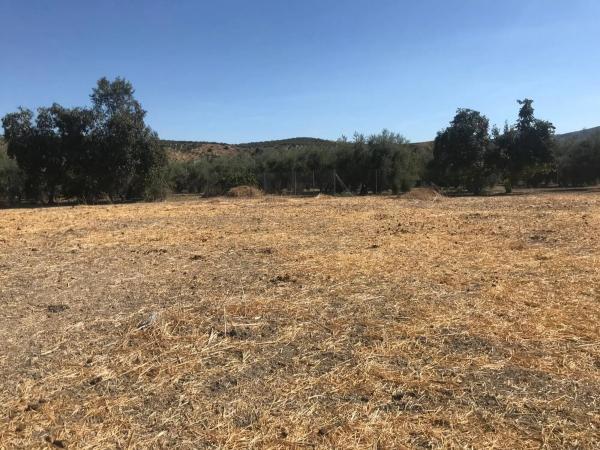 Terreno en Huertas Del Marqués s/n Sn