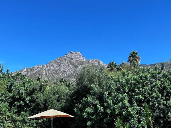 Terreno en calle Albinoni s/n