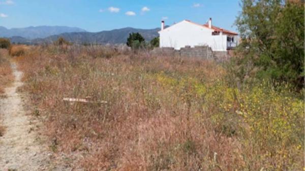 Terreno en calle Jardinera