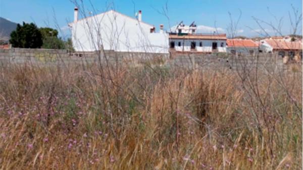 Terreno en calle Jardinera