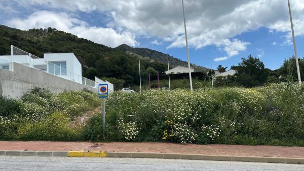 Terreno en calle Araucaria, 106