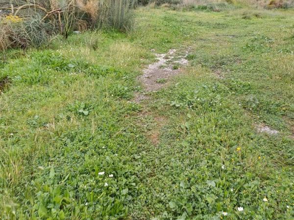 Terreno en Norte - Barrio del Pilar - El Reñidero