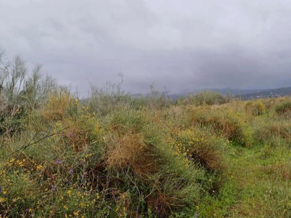 Terreno en Norte - Barrio del Pilar - El Reñidero