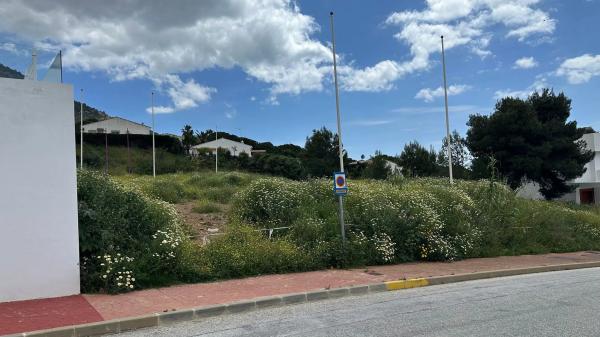 Terreno en calle Araucaria, 106