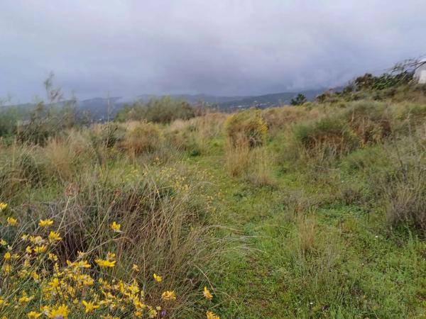 Terreno en Norte - Barrio del Pilar - El Reñidero