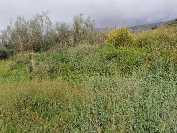 Terreno en Norte - Barrio del Pilar - El Reñidero