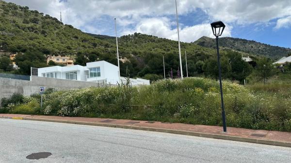 Terreno en calle Araucaria, 106