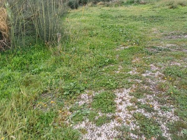 Terreno en Norte - Barrio del Pilar - El Reñidero