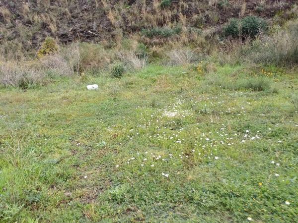 Terreno en Norte - Barrio del Pilar - El Reñidero