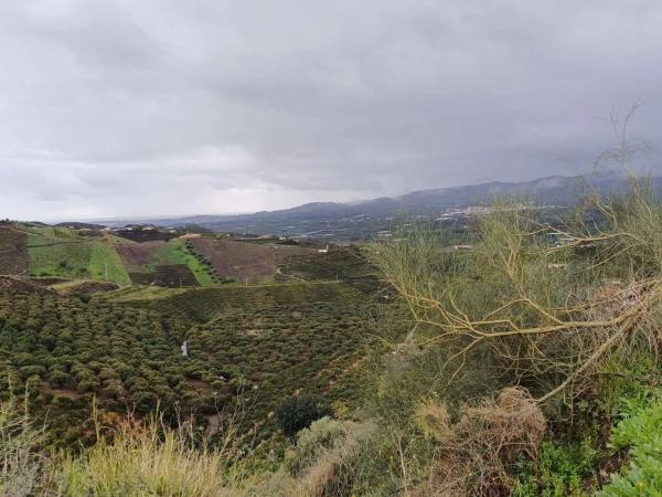 Terreno en Norte - Barrio del Pilar - El Reñidero