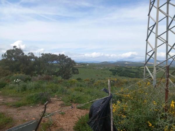 Terreno en calle Martagina s/n