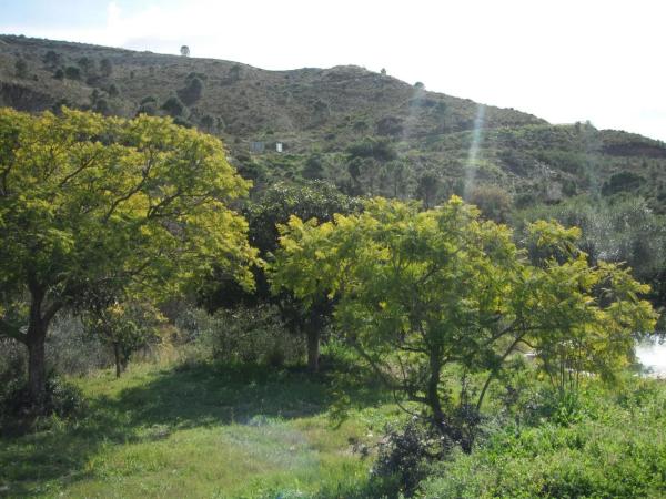 Terreno en Benahavís