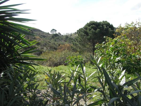 Terreno en Benahavís