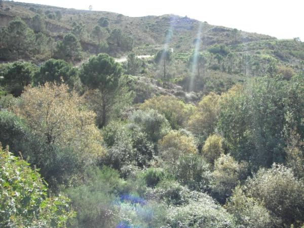 Terreno en Benahavís