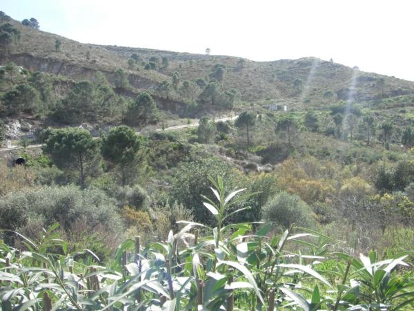 Terreno en Benahavís