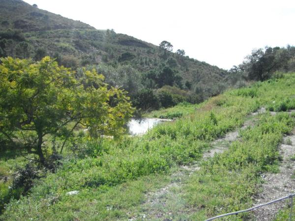Terreno en Benahavís