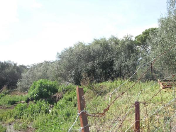 Terreno en Benahavís