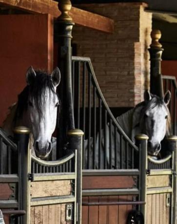 Terreno en Benahavís