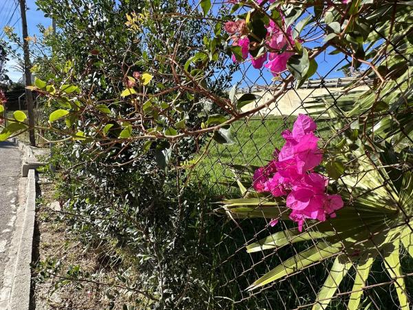 Terreno en Barrio Buenas Noches