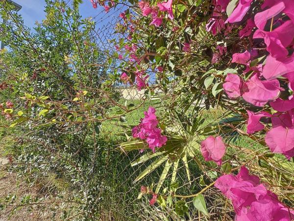Terreno en Barrio Buenas Noches