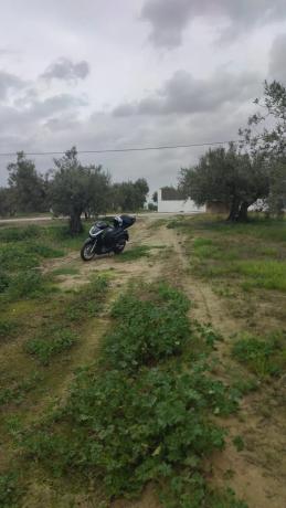 Terreno en Ma-3300, 11