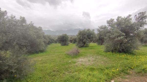 Terreno en Ma-3300, 11