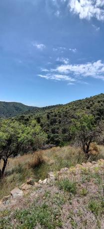 Terreno en Ma-166, km 0