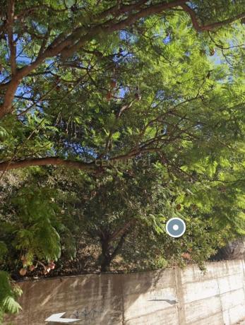 Terreno en calle Violeta, 36 -38