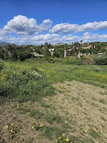 Terreno en Estación