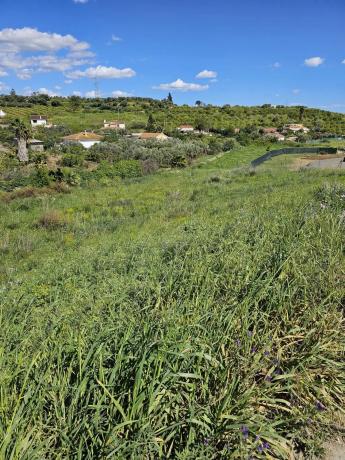 Terreno en Estación