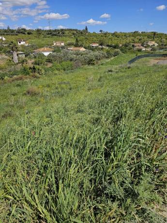 Terreno en Estación