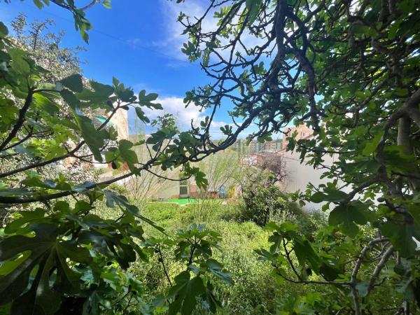 Terreno en calle Islas Canarias