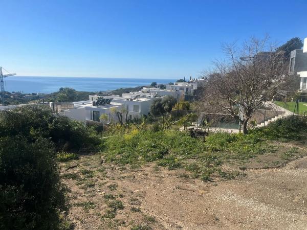 Terreno en calle Araucaria